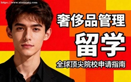 广州奢侈品管理留学中介 不限次修改 (海外院校适配)