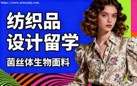 广州纺织品设计留学机构 海外院校适配 (多国家选择)