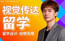 广州视觉传达留学机构 1v1 定制辅导 (背景提升配套)