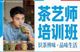 西宁茶艺师培训班