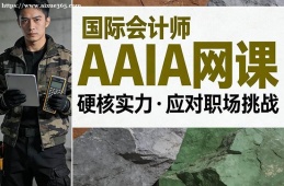 兰州国际会计师AAIA网课