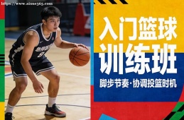 贵阳入门篮球训练班