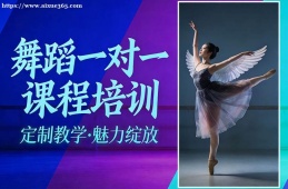 沈阳舞蹈一对一课程培训