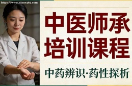 沈阳中医师承培训课程