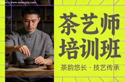 苏州茶艺师培训班