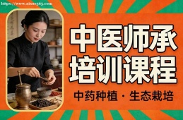 苏州中医师承培训课程