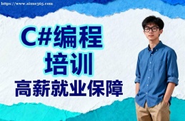 合肥C#编程培训