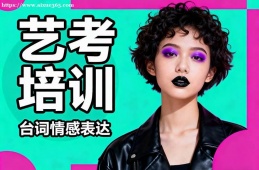 合肥艺考培训