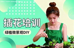 石家庄插花培训