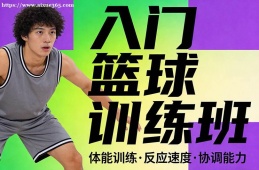 石家庄入门篮球训练班