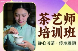 石家庄茶艺师培训班