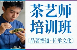 济南茶艺师培训班