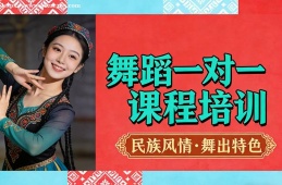 成都舞蹈一对一课程培训