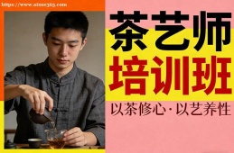 成都茶艺师培训班