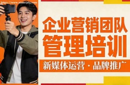 重庆企业营销团队管理培训