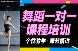 广州舞蹈一对一课程培训