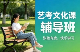 连云港艺考文化课辅导