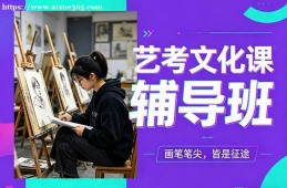 昆明艺考文化课辅导