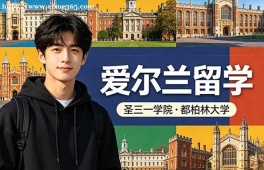 西宁爱尔兰留学申请服务机构