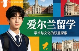 成都爱尔兰留学申请服务机构