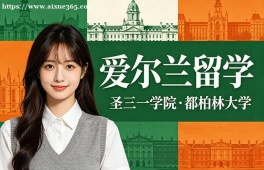 厦门爱尔兰留学申请服务机构
