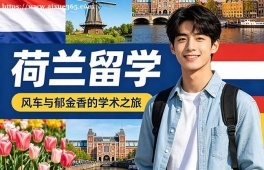 佛山荷兰留学中介机构
