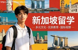 上海新加坡留学申请服务机构
