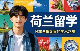 郑州荷兰留学中介机构