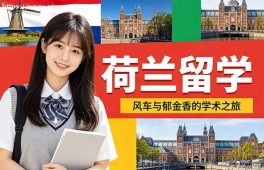青岛荷兰留学中介机构