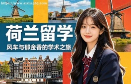 石家庄荷兰留学中介机构