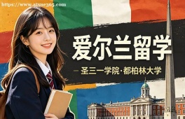 北京爱尔兰留学申请服务机构